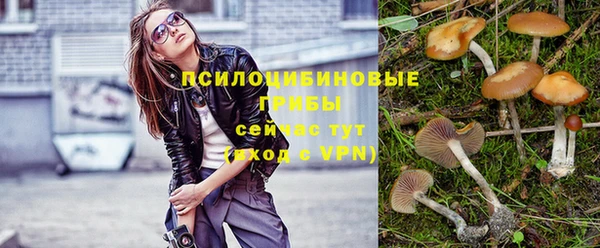 MDMA Premium VHQ Каменка