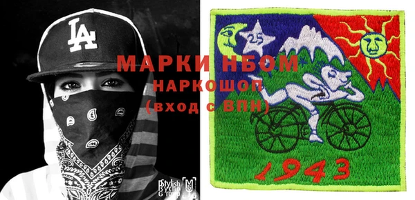 шишки Абаза
