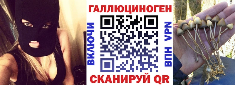 Псилоцибиновые грибы Magic Shrooms Чехов